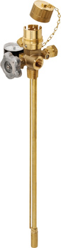 Soupape de purge de vapeur, longueur d'immersion 310mm