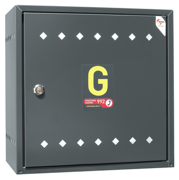 Armoire à gaz murale 600x600x250, métal, toit incliné, anthracite