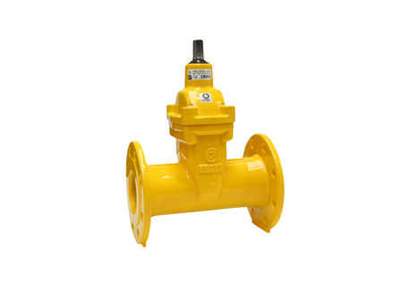 Gate valve, flange DN 250