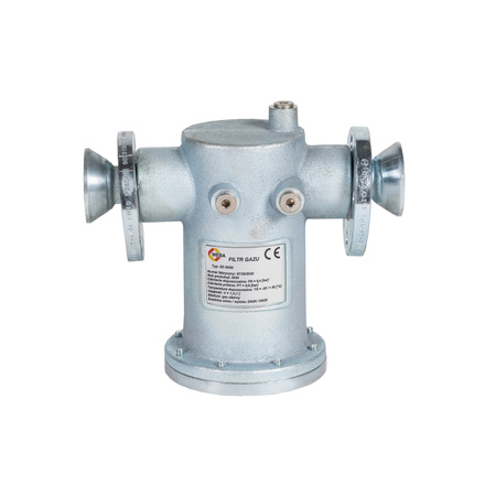 Gas filter DN25