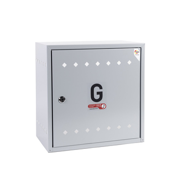 مجلس الغاز المثبت على الحائط 450x450x250، سقف مسطح، رمادي