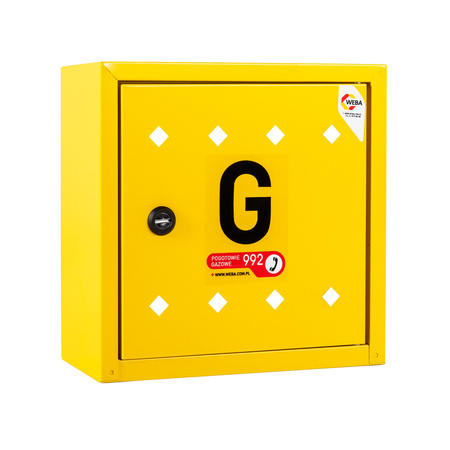 Wall-mounted gas cabinet 300x300x150, yellow